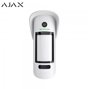 Détecteur de présence extérieur - Ajax -avec photo Détecteur de présence extérieur - Ajax -avec photo