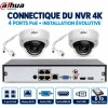 Connectique arrière du NVR du kit vidéosurveillance 4K Dahua avec disque dur 6 To